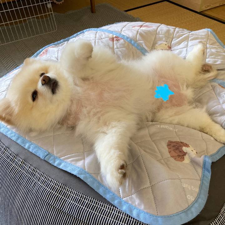 A6d2f197 aa86 4454 98a7 2ee8bf9a65a2 1692917925907