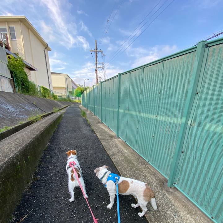 A6d31afd 1286 40a0 bf13 f64522677924 1717204616391