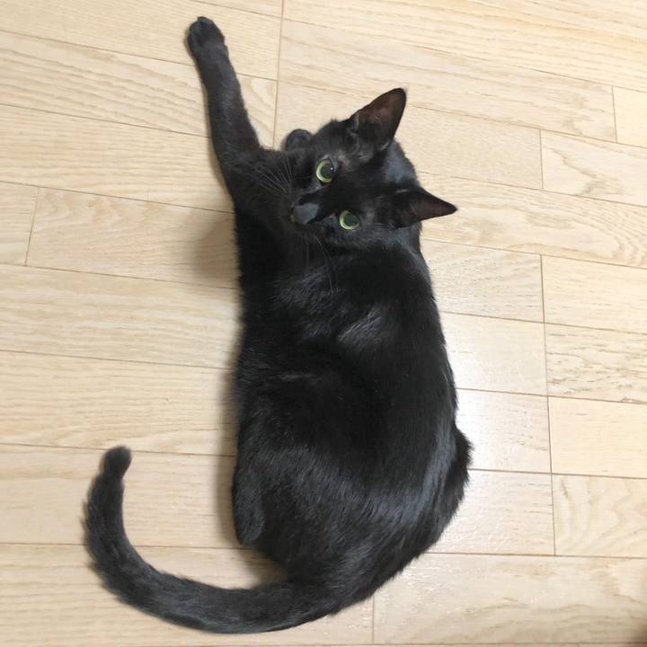 A6d378e2 72c1 4ab2 9158 1715cb1687be 1589884471738