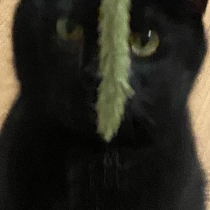 A6d39dd9 7e23 4a85 a549 f5cc7fe5a19c 1627645860672