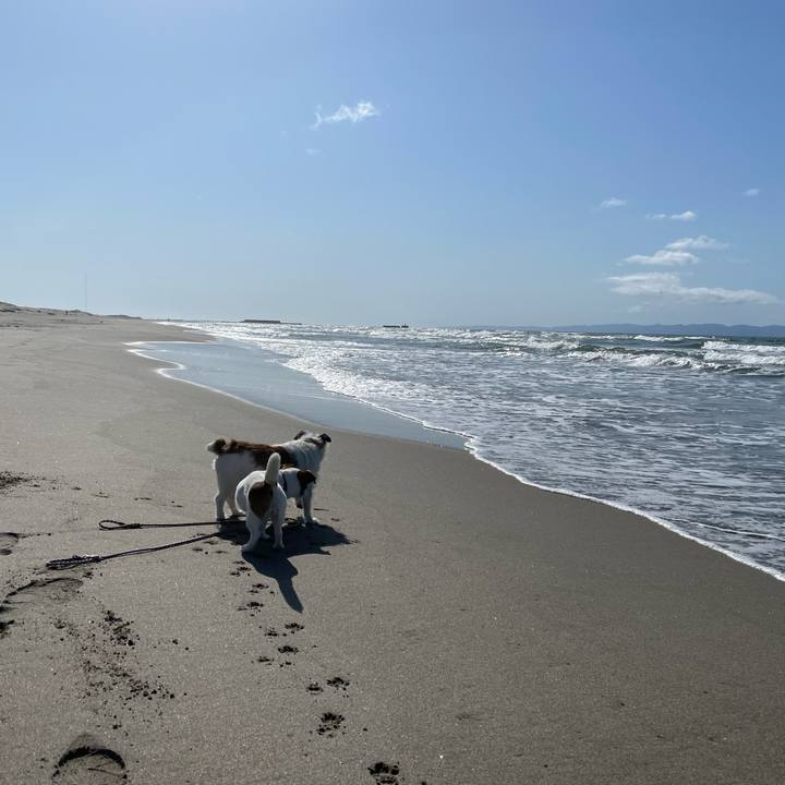 A6d3a953 e7d4 4b21 b162 19028e130fee 1649400474118