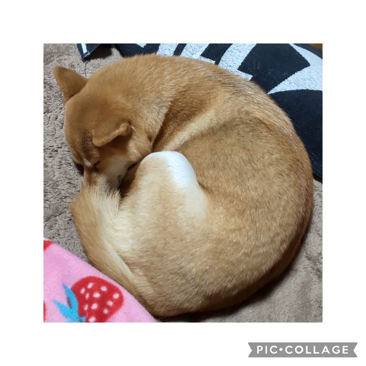 A6d3cd6e 885a 4b0c 8c94 637f37c37a47 1677238931136