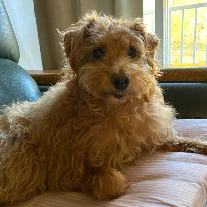 A6d3d750 d304 4505 b459 3ec62cd6cdea 1699054316571