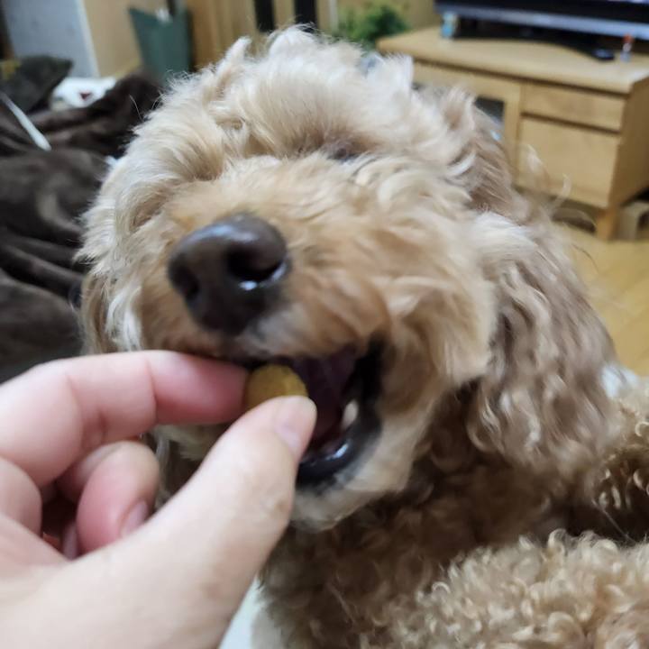 A6d3e226 0a92 4d8f a81e f2beddad380a 1767655146807