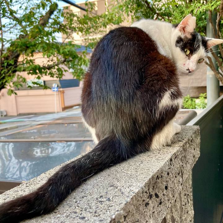 A6d4043a d1e6 439e a386 773de004405b 1758686163861