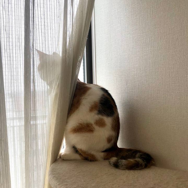 A6d42376 4798 454d 9972 4f2060772e4a 1594337898710