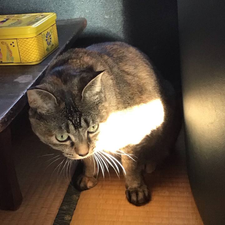 A6d42949 658a 43ee 943e f31e67ccbb31 1709019801030