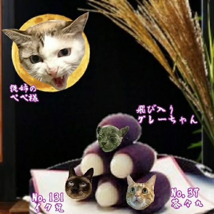 A6d48216 f9e5 4129 a92d 215fe2d67032 1537099720809