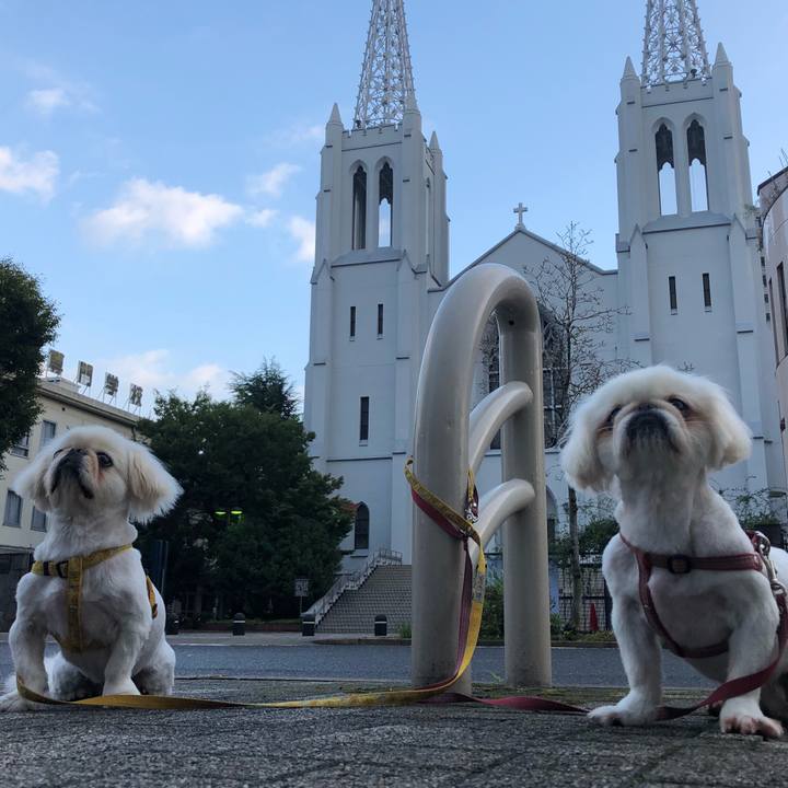 A6d499c9 a536 4f44 9468 d5181f907a38 1536230672406