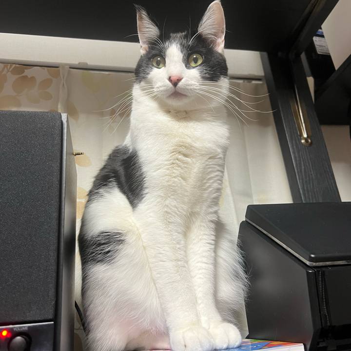 A6d4f94b 92cb 45ec 91b1 156a2e95a22c 1643882214477