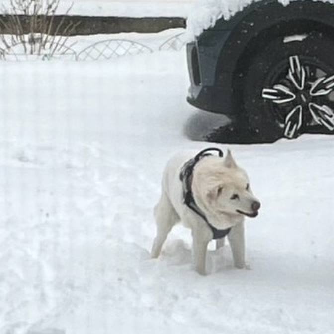 A6d570ad dc98 41f2 90a6 8b485221b71e 1768177548388