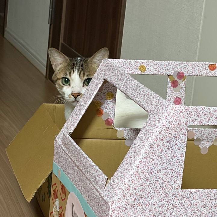 A6d5793d 470b 4252 8c69 fca319aeb1eb 1768694144486