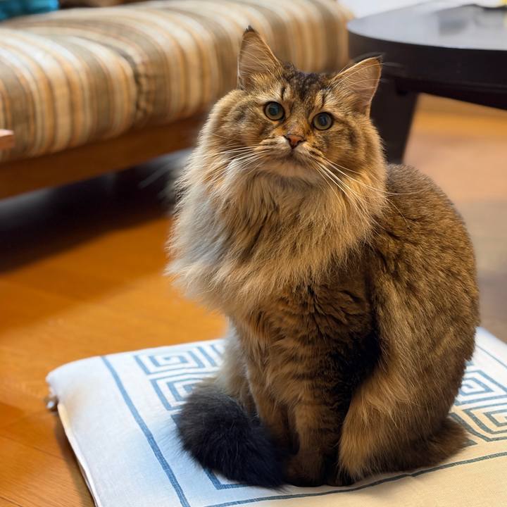 A6d5821a 02e1 4f05 a7e4 559513ec110e 1767566628721