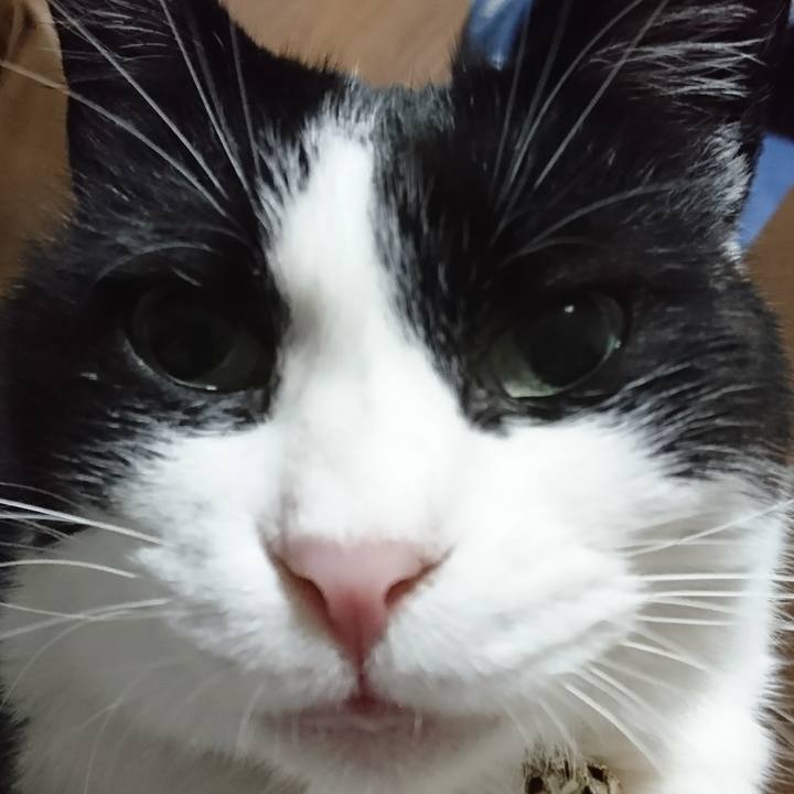 A6d5b122 9e58 44e9 8337 fd1abdbdd45c 1573209877399