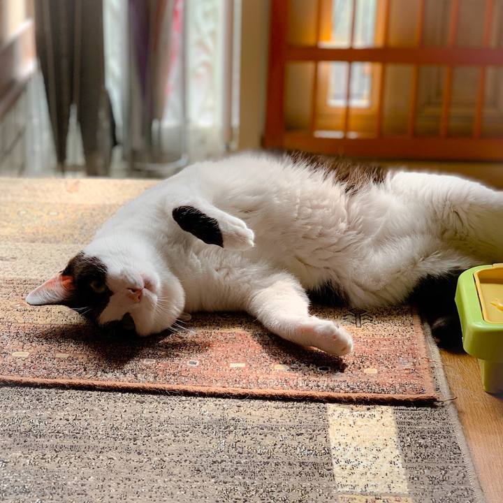 A6d5bb97 7f2b 4039 b855 143e28377276 1559179972482