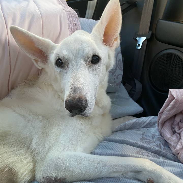 A6d5c038 a87a 4610 b2d0 163c441017b8 1604962899719