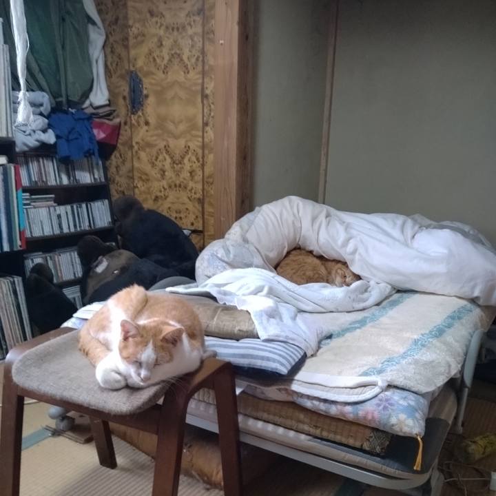 A6d5cdc5 c61b 41b7 8eca a962a84cc9b6 1758488235045