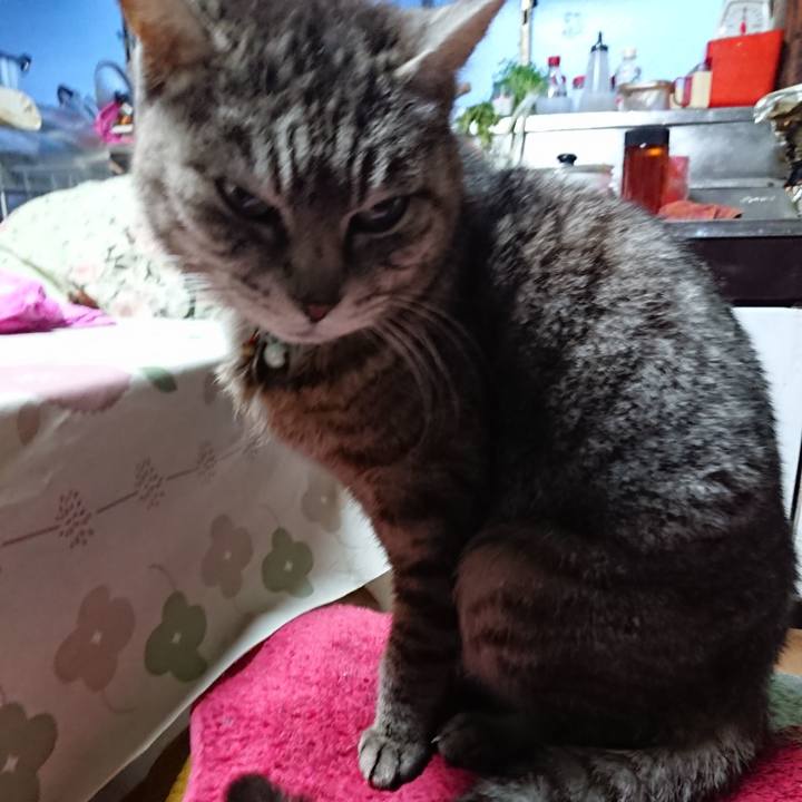 A6d61f32 91ac 408d 87d9 e7227d8e566b 1554282776228