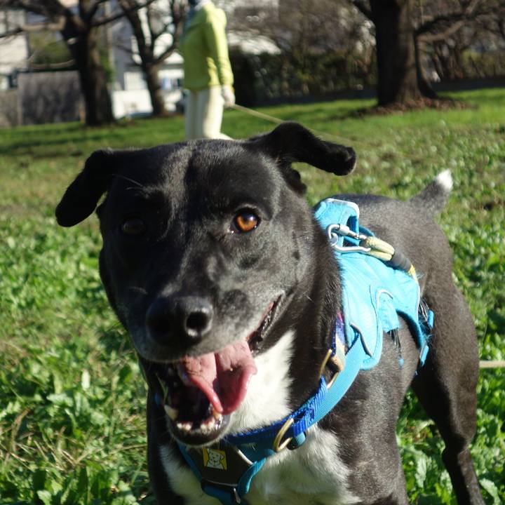 A6d62e3e f0b9 4c82 a672 18dabaa5e1ca 1636071415497