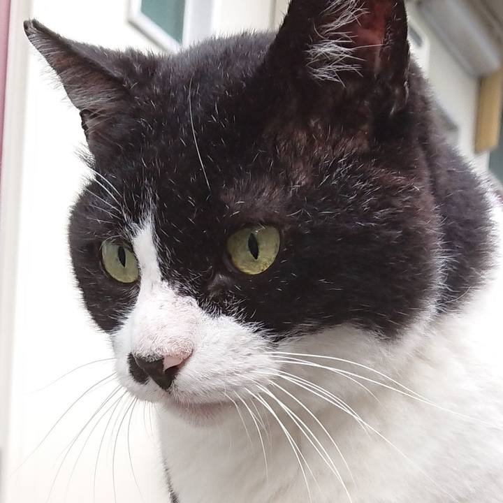 A6d69aed 3ae7 4073 8bce 5f375a6dc4e2 1596232753184