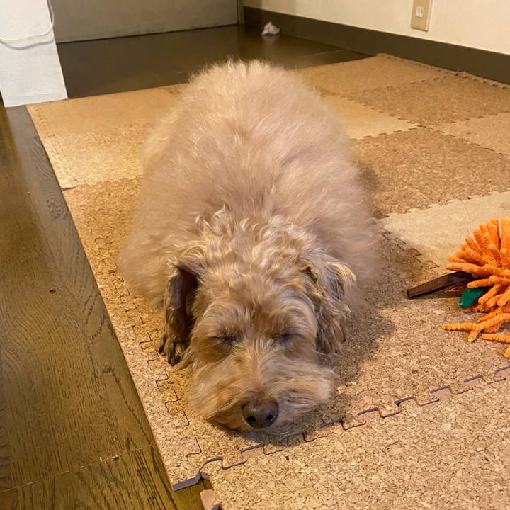 A6d6b897 d55c 4023 a288 45b27077e65e 1671956492455