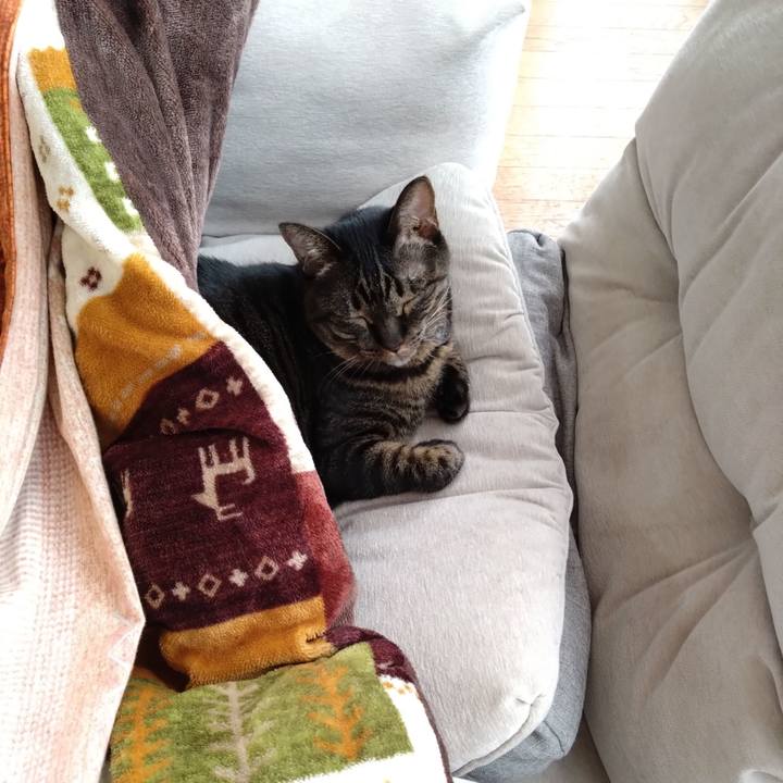 A6d6c169 ab0d 4df6 978e 9892c87167f7 1764978960046