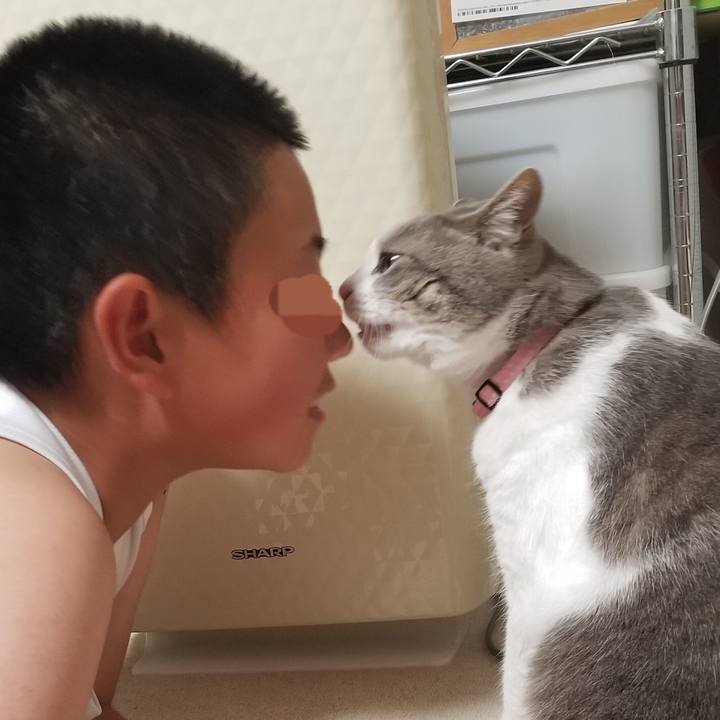 A6d7367a 3628 4a30 9f5a b51206514781 1569757073181