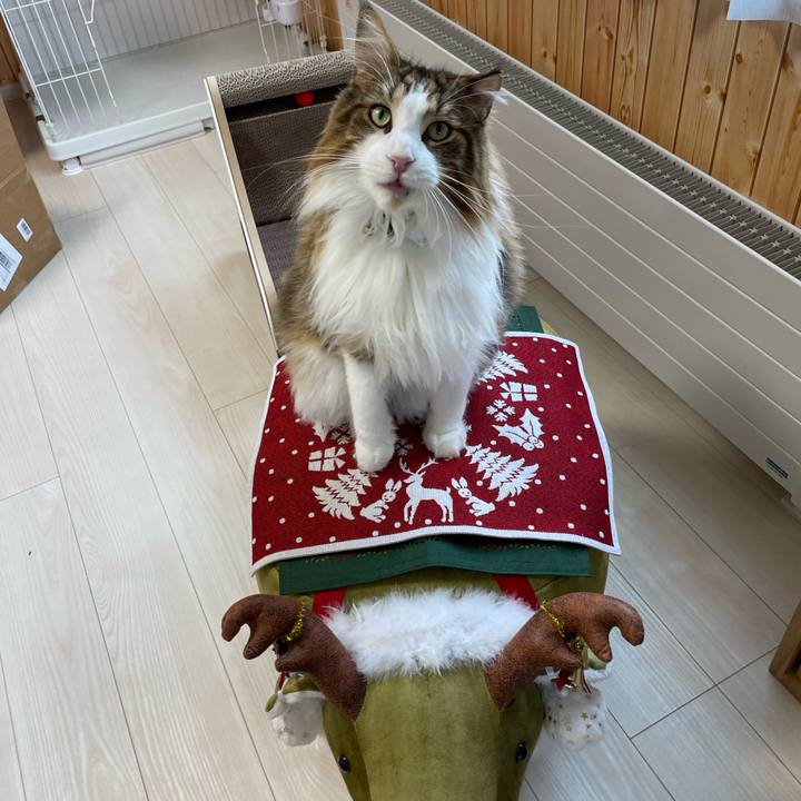 A6d748d5 0240 469f b4c1 cf0c23671212 1700710605111