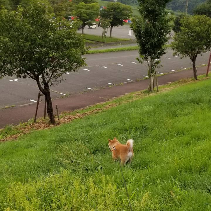 A6d781dd c9c9 4cfb 97d0 6153af73ad52 1597053963290