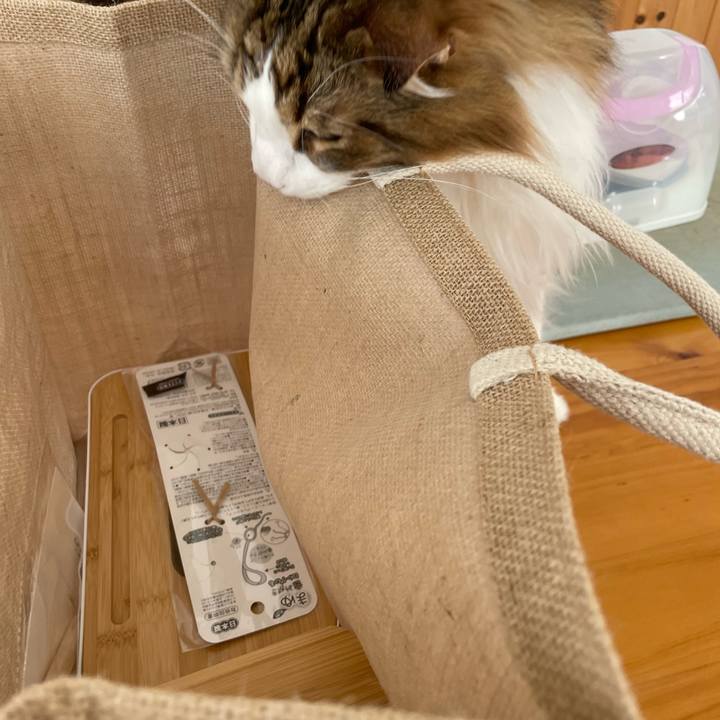 A6d78945 c98b 4f82 9b3f afb361bfad53 1681540870963