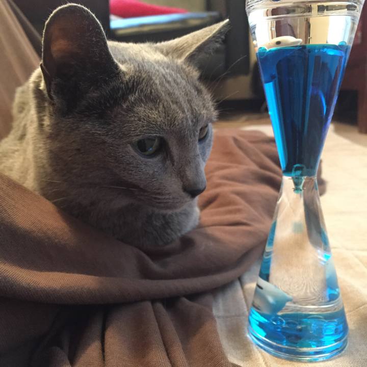 A6d78e98 2ed0 4fa7 aa9e 0da2bca41a40 1550792361088