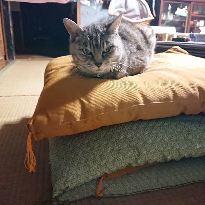 A6d79a40 13f7 4ae1 8729 8c0ebb54b82a 1570094986798