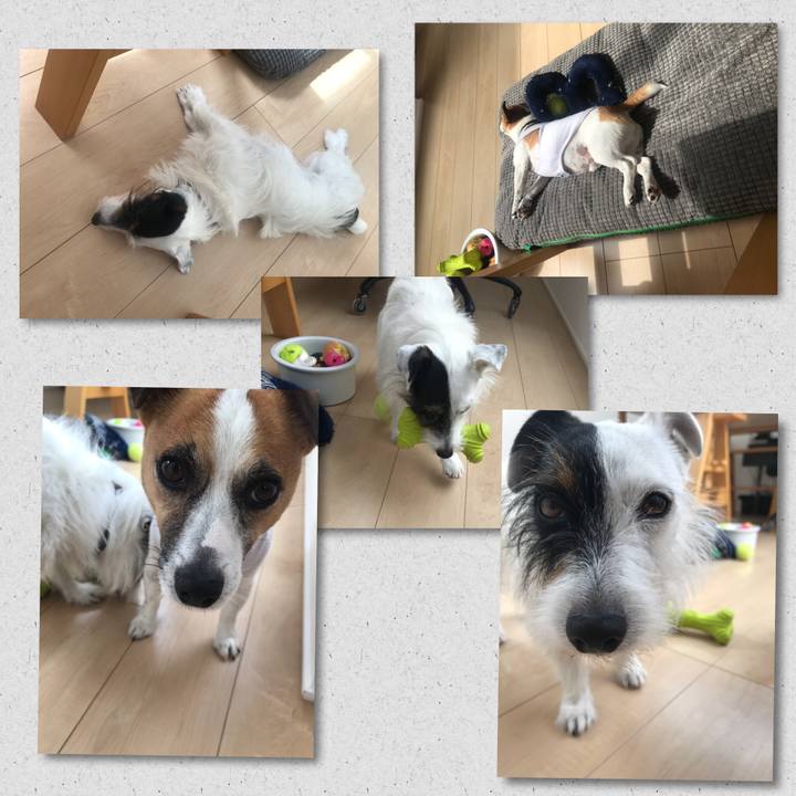 A6d7ab8a a8e5 4056 b5b1 d46ca82873da 1528956010340