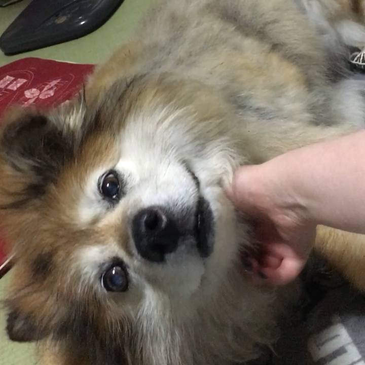 A6d82b00 71ca 4b68 ae20 cb443933e33d 1548496185544