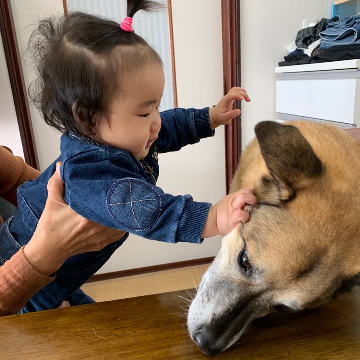 A6d83325 69f1 4d6a 8e1b d7908af57cfc 1544229522990