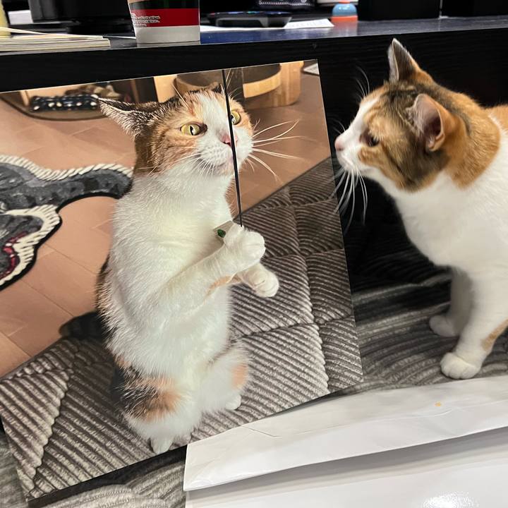 A6d85ded 507a 4f2c 8e5f 304421583c2a 1763286972570