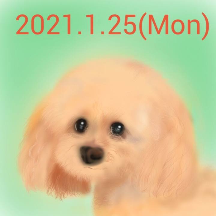 A6d8ea4d 558c 4bac 91dd 33ff6be59211 1611572944540