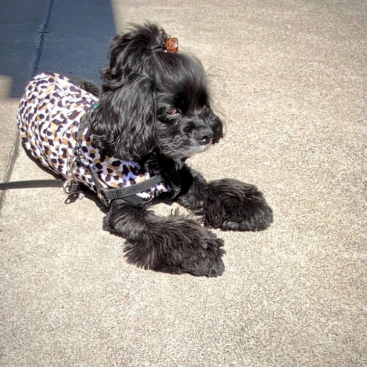 A6d8ef2c 1612 4ad2 8c18 52917786961f 1587798156125