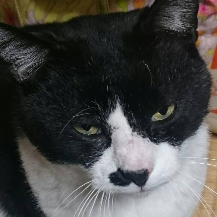 A6d91ab4 8b5c 40b9 a970 10f95c9902b7 1514367675131