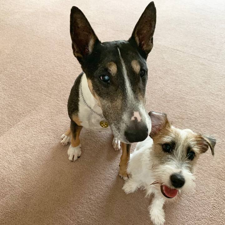 A6d946fa ed22 491b abe9 ae39a28afd24 1567322568222