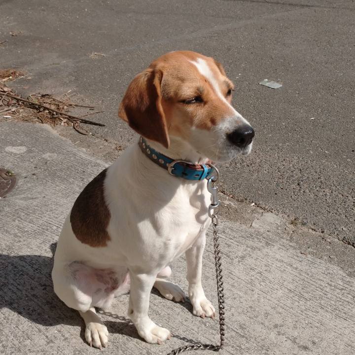 A6d9b017 f54c 4b18 835f dddee4ea6f95 1604979556617