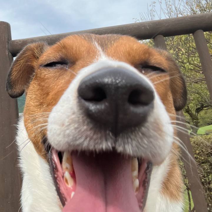 A6d9cb6b 036a 46d9 a53c c09da3be6701 1761921204627