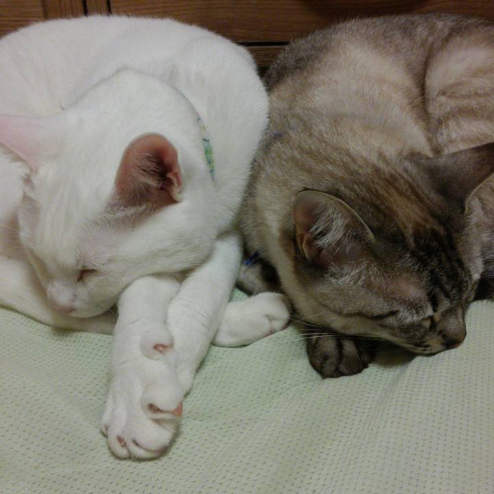 A6d9d19d cb4f 4d11 8297 fdbbfeb5996b 1524584552035