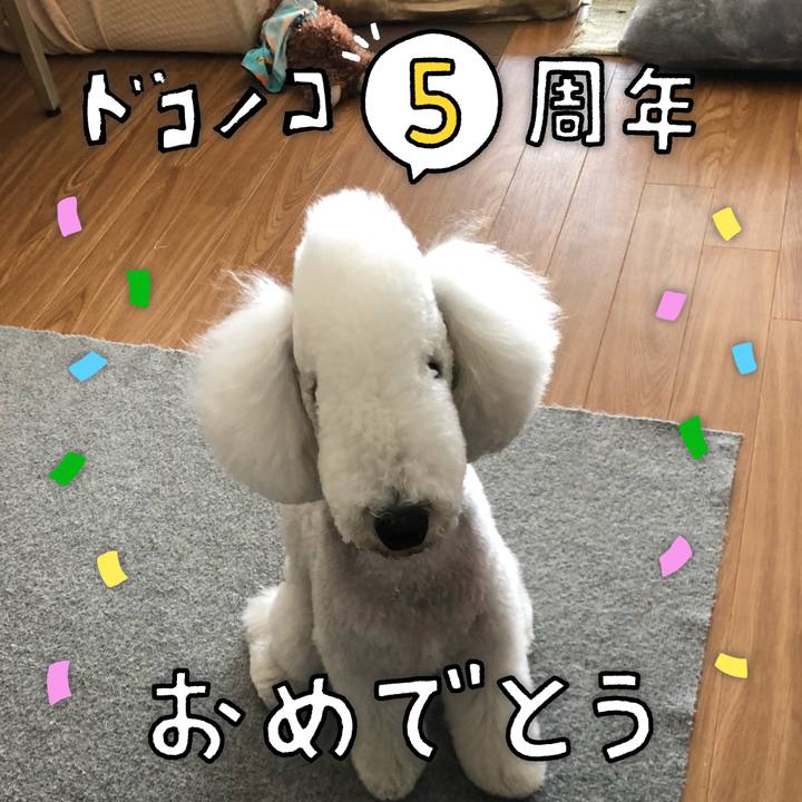 A6d9d825 51e2 4d14 9dff 8ebf2f1da648 1622869578857