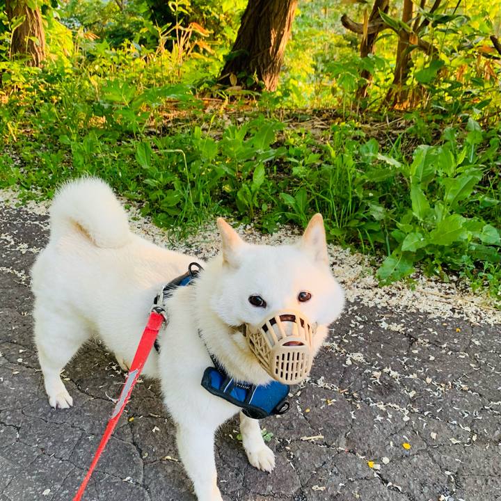 A6d9d8a8 91bf 4d93 885c 5be1fb2ee4c9 1624395975244