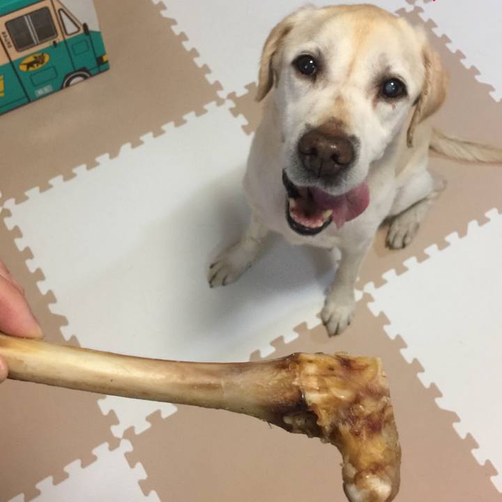 A6da3fe6 4be0 484b a23f 6825bd6cac8d 1564810674013