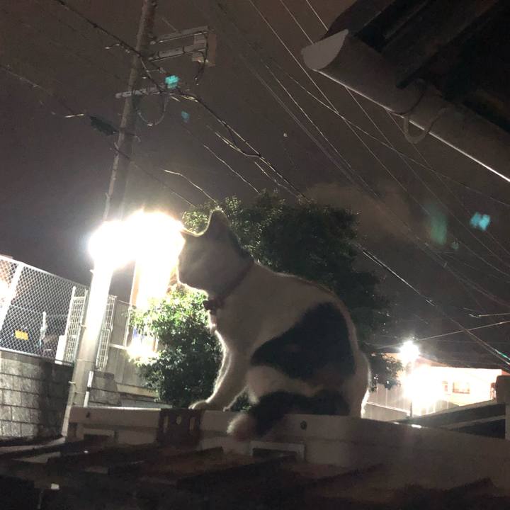 A6da4a45 4db3 4bc6 865e 5d4851878b52 1632829782588