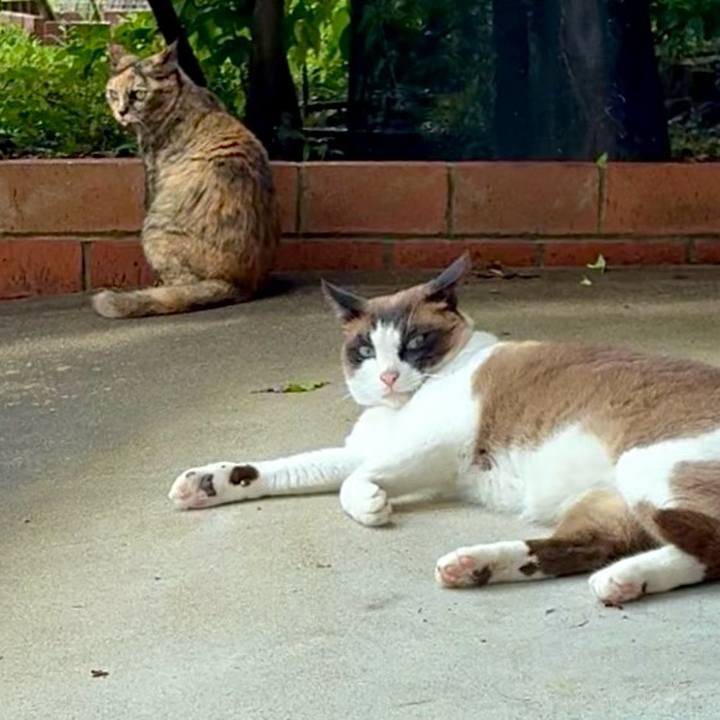 A6da55bc 954a 44a2 8833 643c3dd415e5 1749781041704