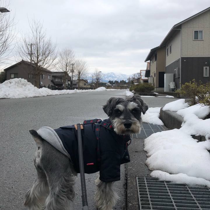 A6da8684 5641 49be bace 5477da9aaf35 1641703226944