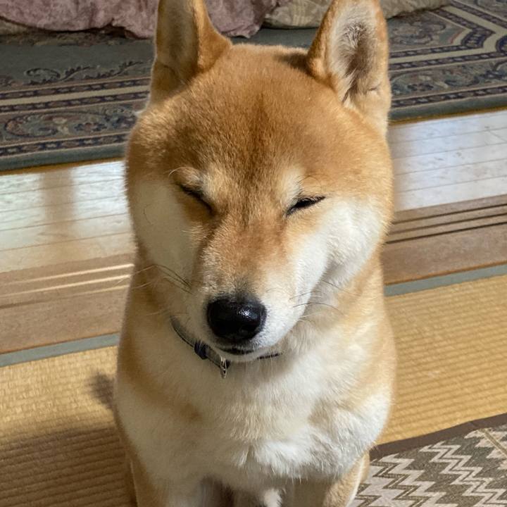 A6daa352 19b6 4ad4 b830 9d4ed542405d 1646614233289